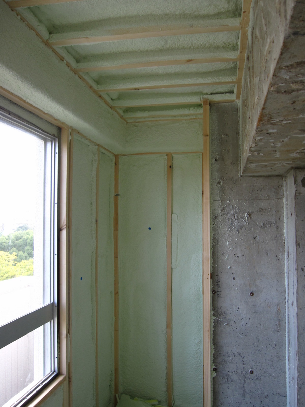 �쑤�����t��